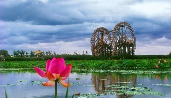 機(jī)不可失！銀川鳴翠湖國家濕地公園旺鋪火熱招商中！黃金位置，欲租從速！