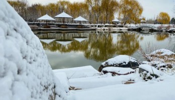 這是20年鳴翠湖遇見的，第一場雪。